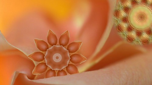 flower mandala