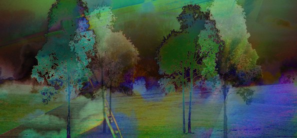 boddi design - abstract amaroo graphic